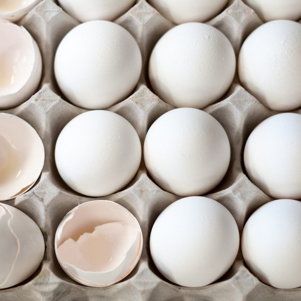 eggs